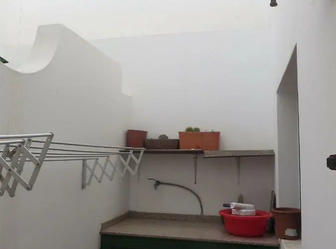 Coqueto Фамара